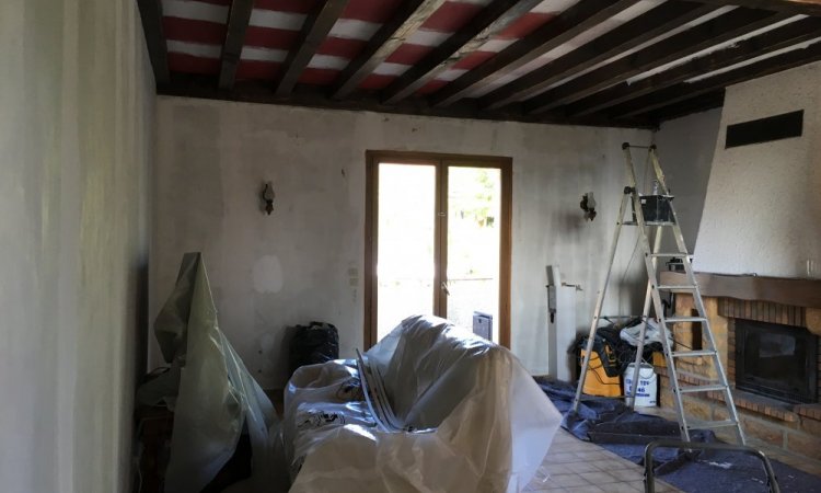 Rénovation d’un salon à FLEURIEUX SUR L’ARBRESLE ( 69210 ) 